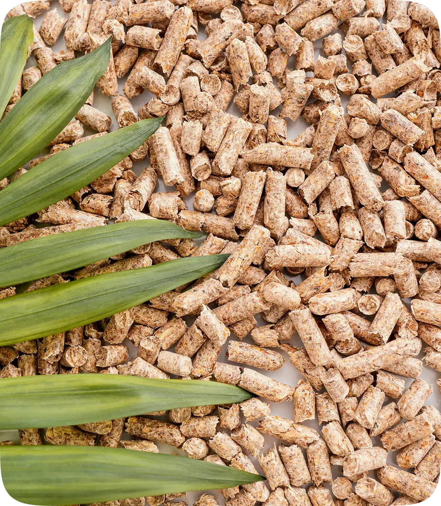 Bergé Biogranulés - Caractéristiques techniques de nos granulés
